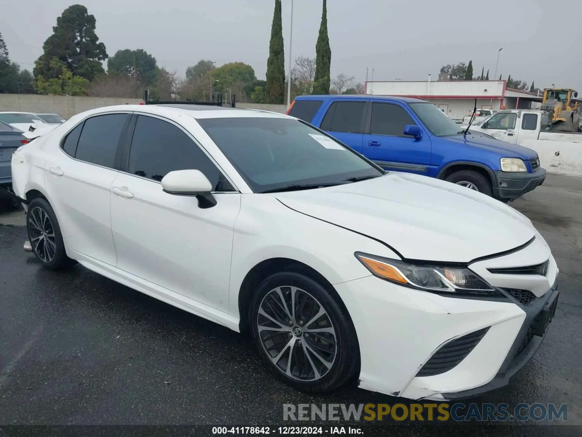 14 Photograph of a damaged car 4T1B11HK8KU731283 TOYOTA CAMRY 2019