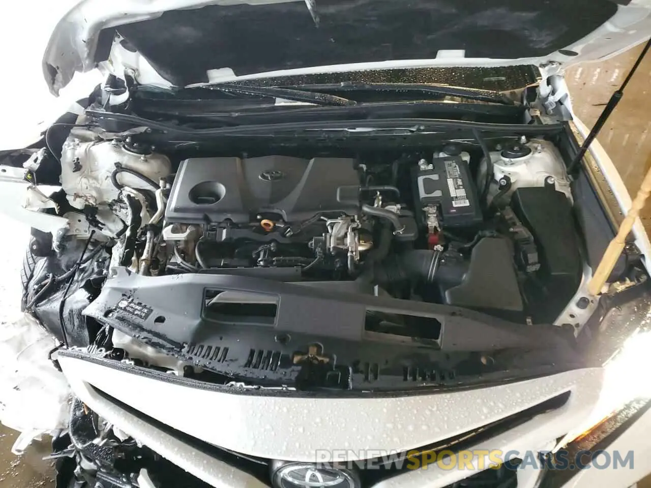 11 Photograph of a damaged car 4T1B11HK8KU741845 TOYOTA CAMRY 2019