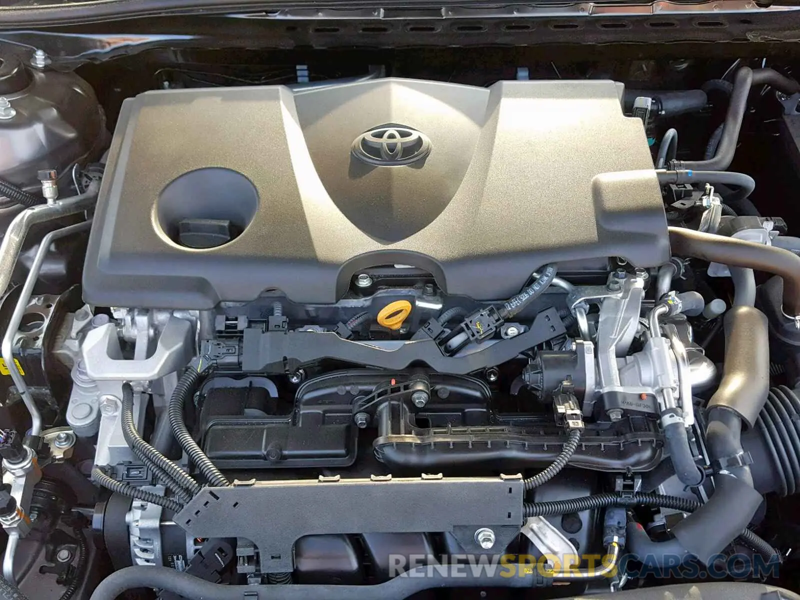 7 Photograph of a damaged car 4T1B11HK8KU764851 TOYOTA CAMRY 2019