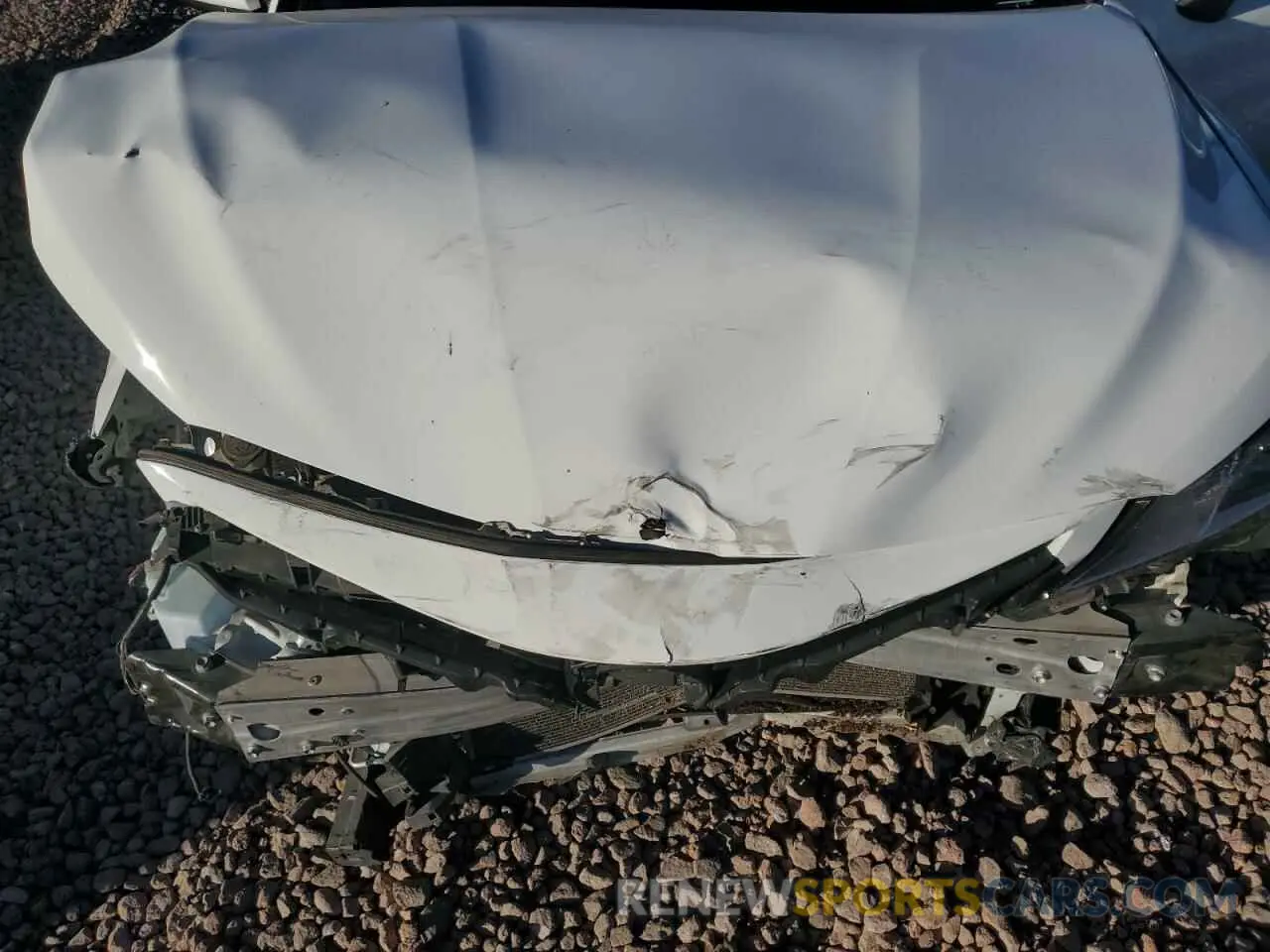11 Photograph of a damaged car 4T1B11HK8KU844263 TOYOTA CAMRY 2019