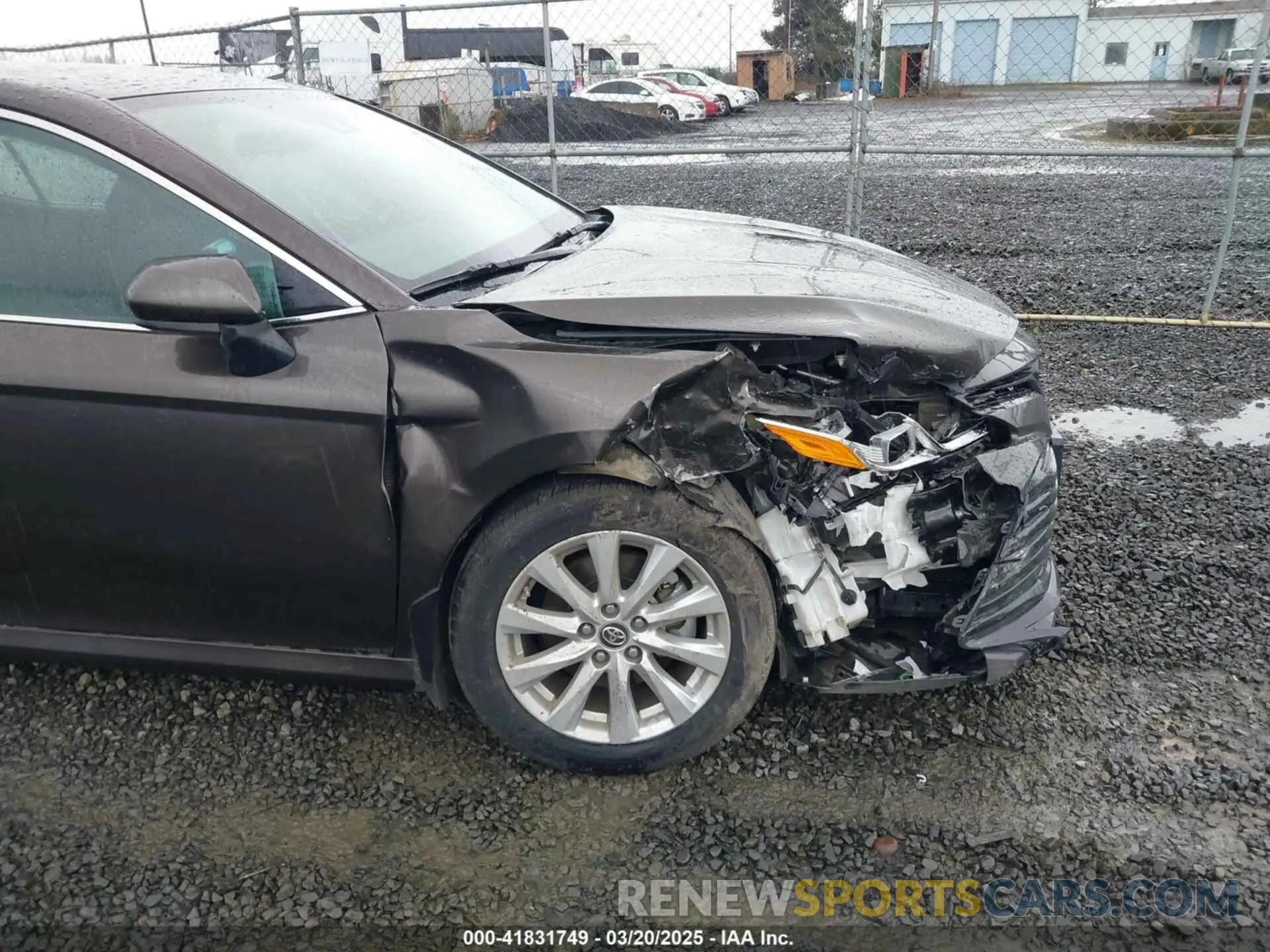 6 Photograph of a damaged car 4T1B11HK9KU744852 TOYOTA CAMRY 2019
