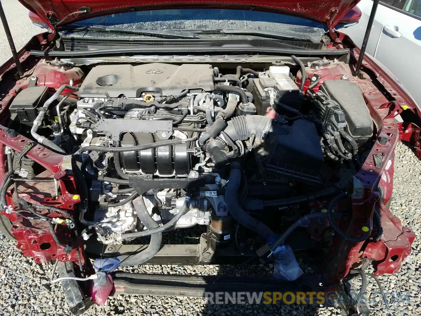 7 Photograph of a damaged car 4T1B11HK9KU797891 TOYOTA CAMRY 2019