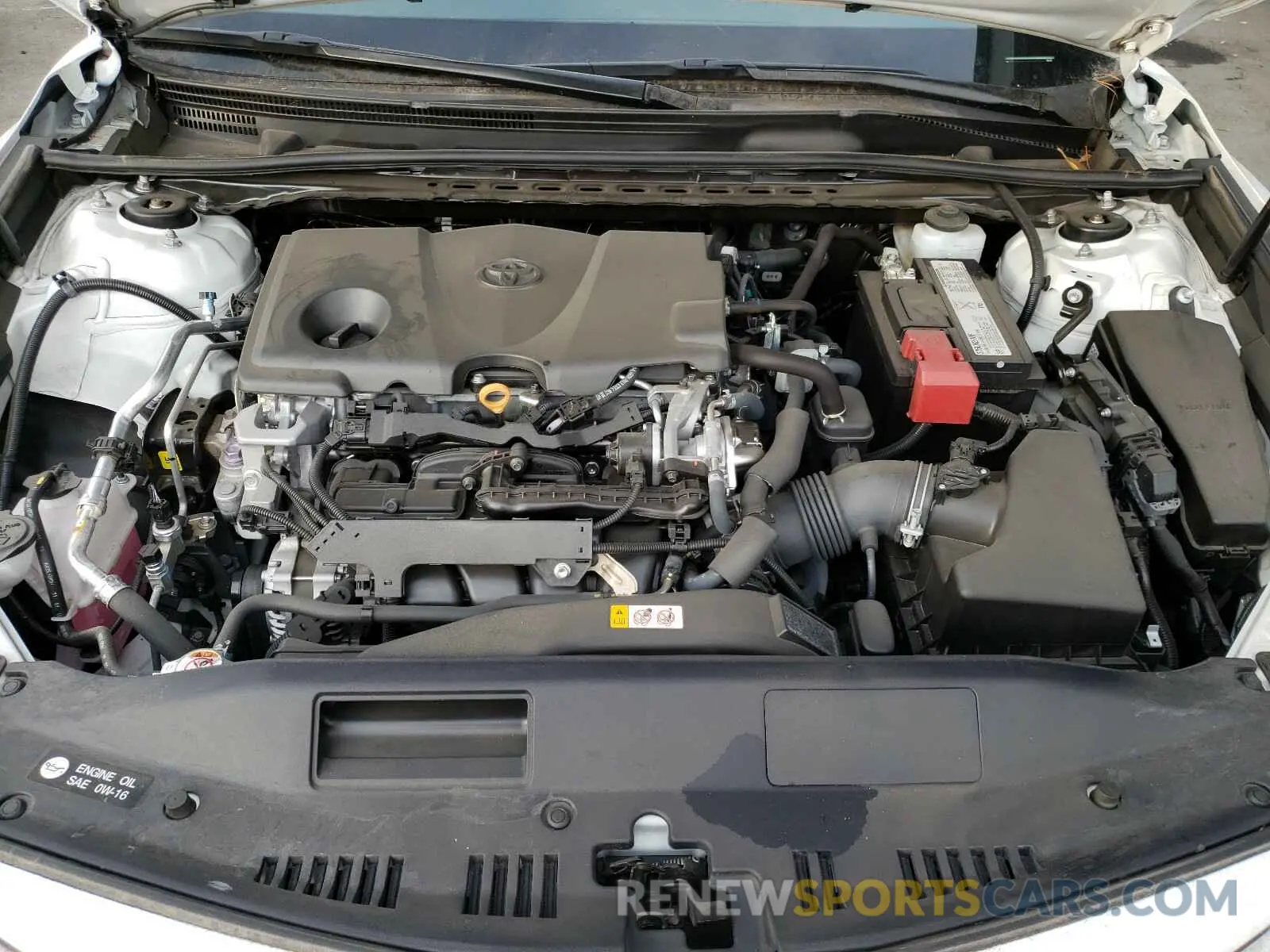 7 Photograph of a damaged car 4T1B11HK9KU831893 TOYOTA CAMRY 2019