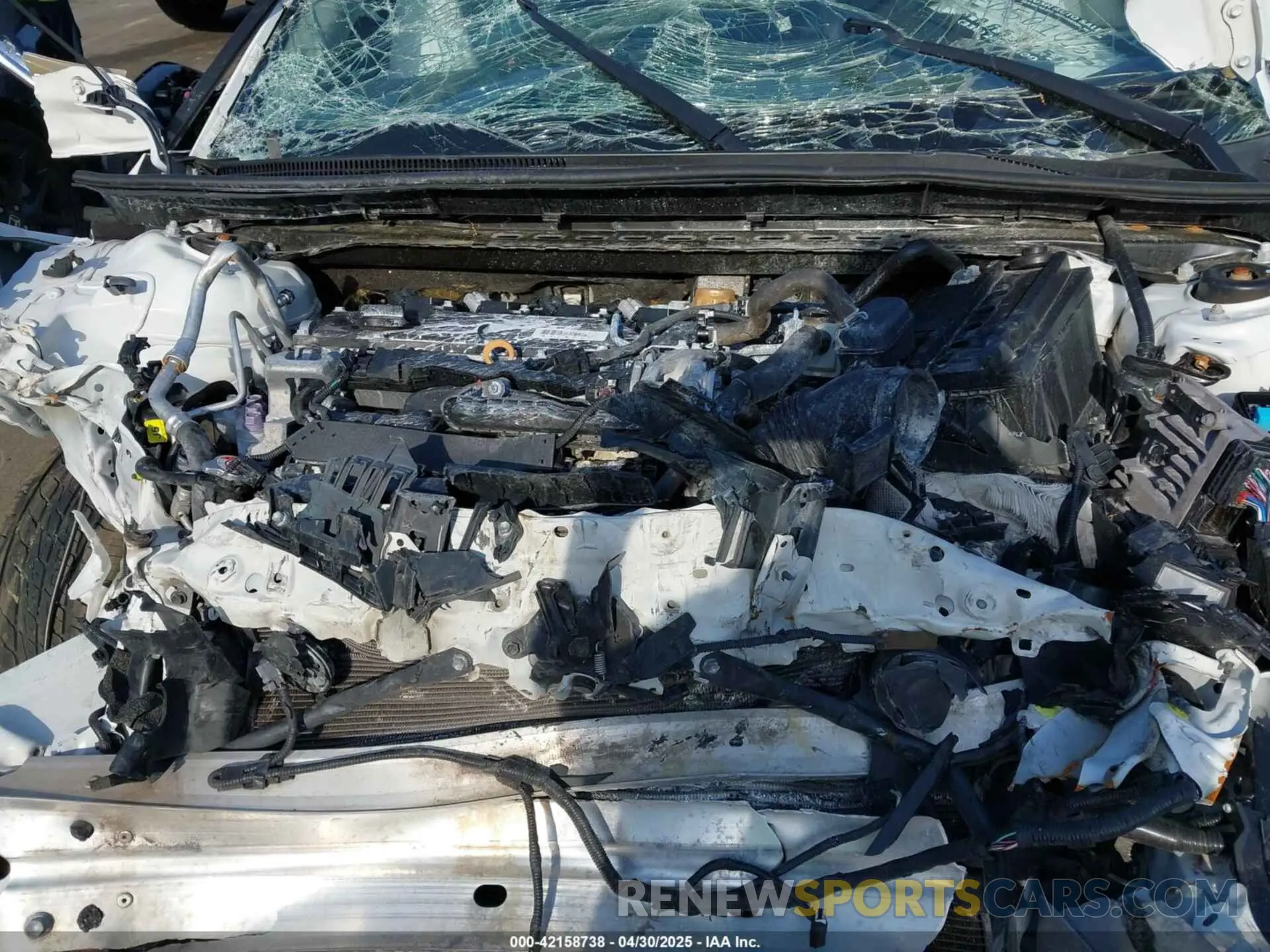 10 Photograph of a damaged car 4T1B11HK9KU842909 TOYOTA CAMRY 2019
