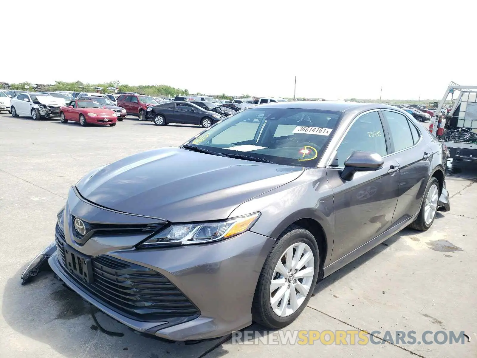2 Photograph of a damaged car 4T1B11HKXKU687500 TOYOTA CAMRY 2019