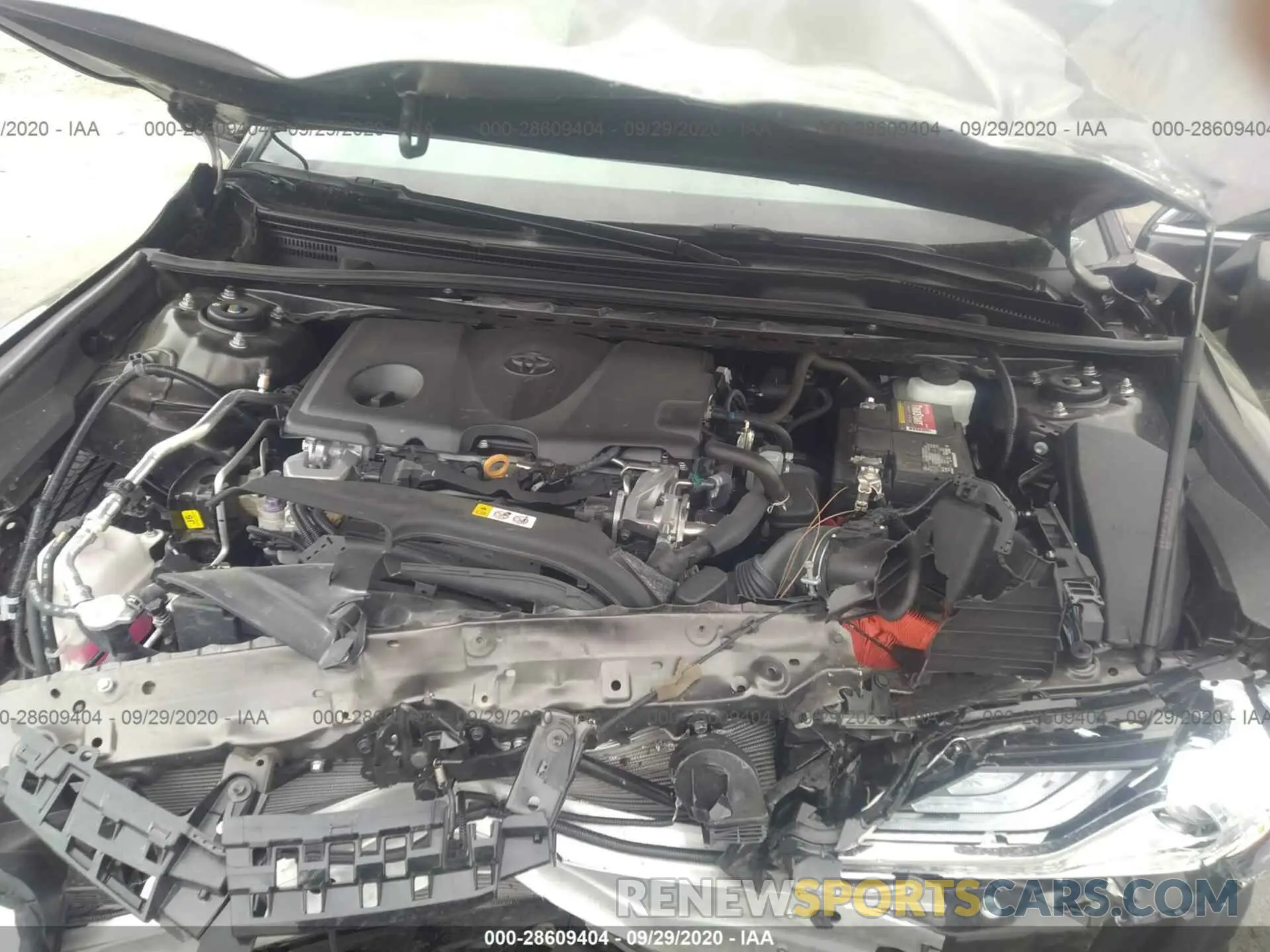 10 Photograph of a damaged car 4T1B11HKXKU694768 TOYOTA CAMRY 2019