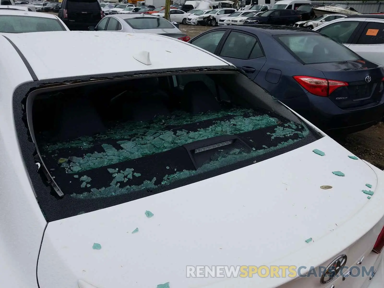 9 Photograph of a damaged car 4T1B11HKXKU728840 TOYOTA CAMRY 2019