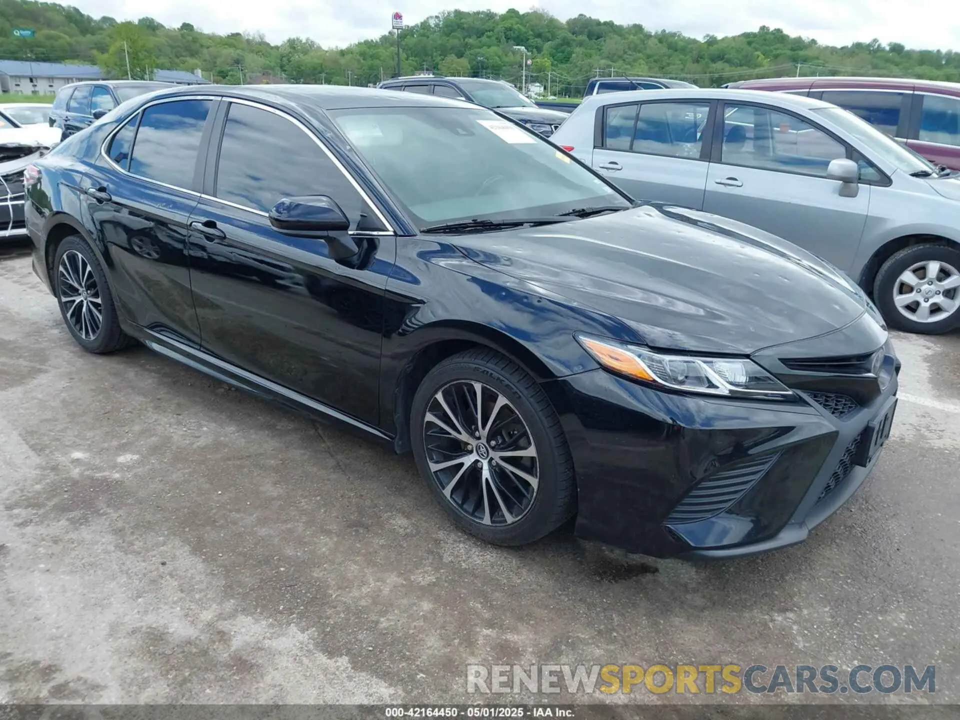 1 Фотография поврежденного автомобиля 4T1B11HKXKU741748 TOYOTA CAMRY 2019