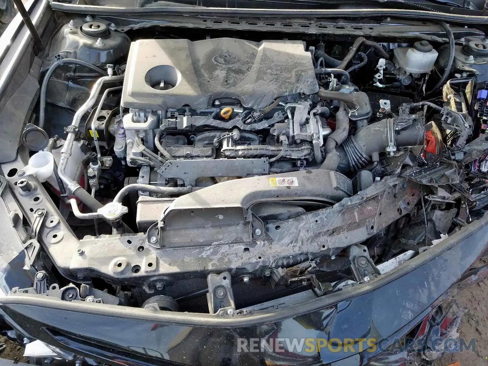7 Photograph of a damaged car 4T1B11HKXKU771560 TOYOTA CAMRY 2019