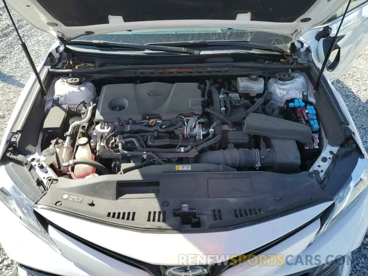 12 Photograph of a damaged car 4T1B21HKXKU014431 TOYOTA CAMRY 2019