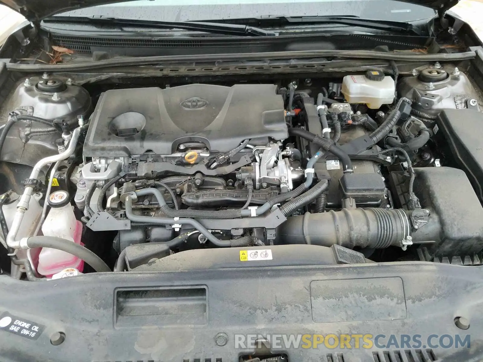 7 Photograph of a damaged car 4T1B31HK1KU007641 TOYOTA CAMRY 2019