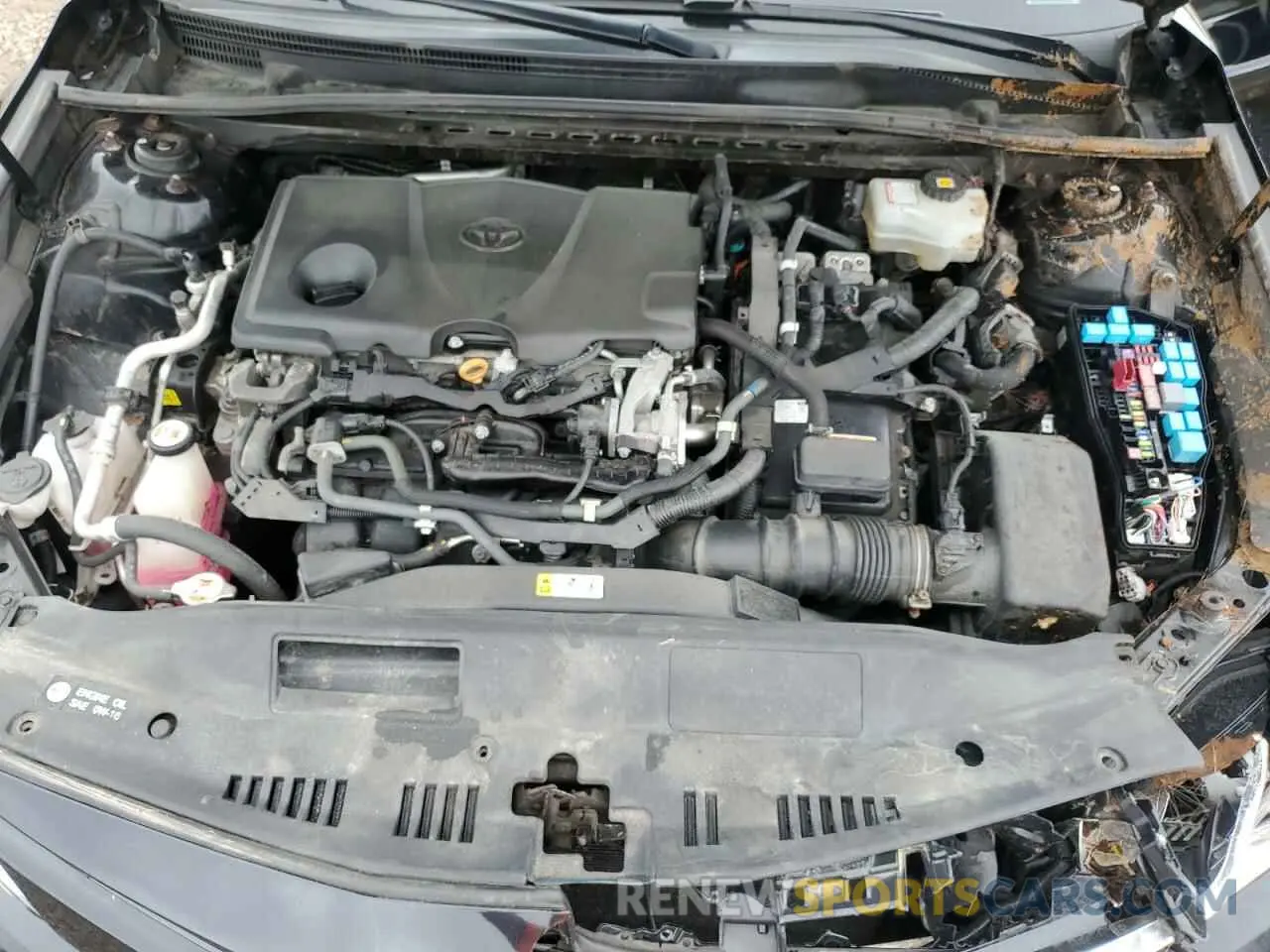 11 Фотография поврежденного автомобиля 4T1B31HK1KU512465 TOYOTA CAMRY 2019