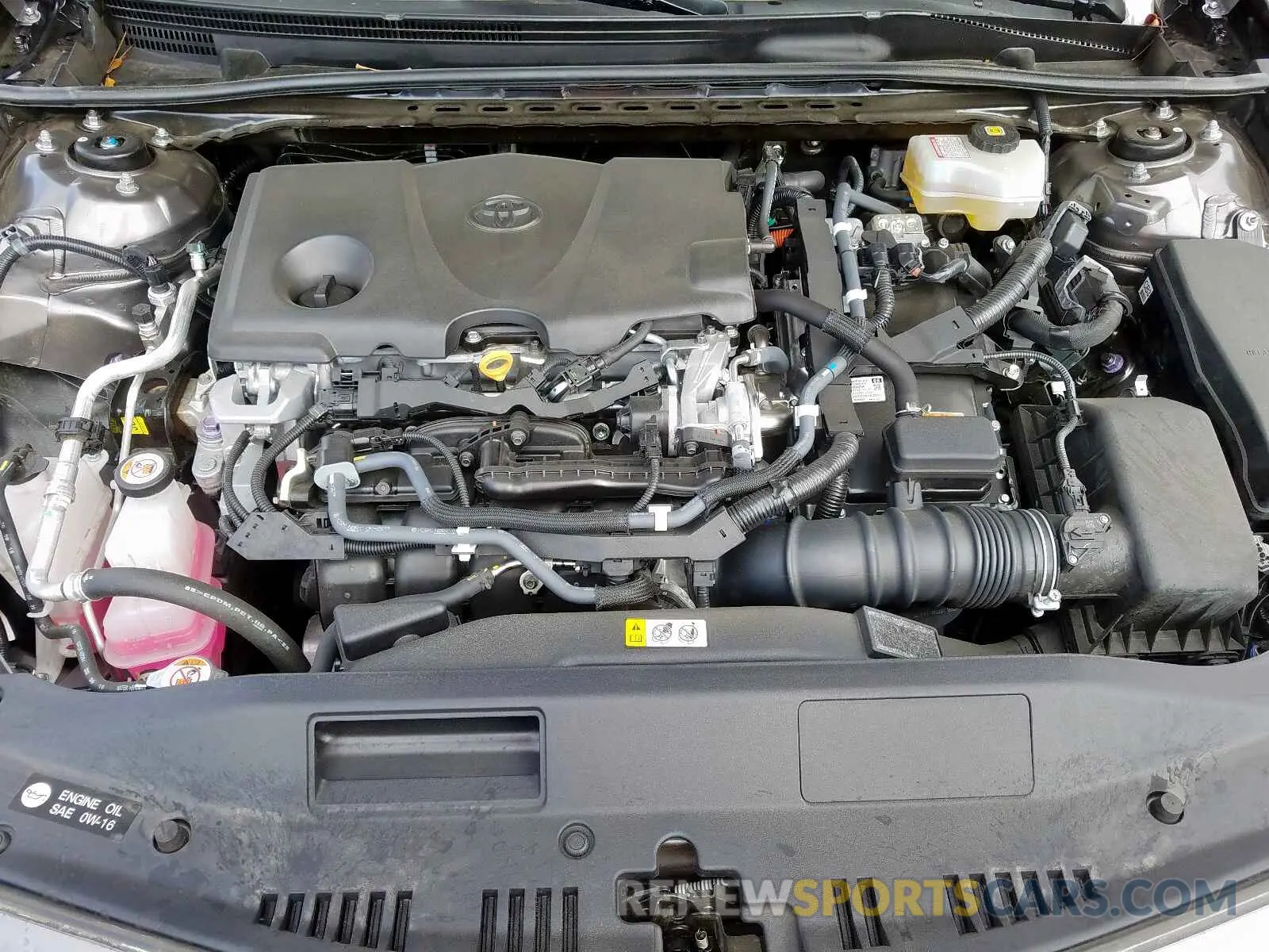 7 Photograph of a damaged car 4T1B31HK1KU512787 TOYOTA CAMRY 2019