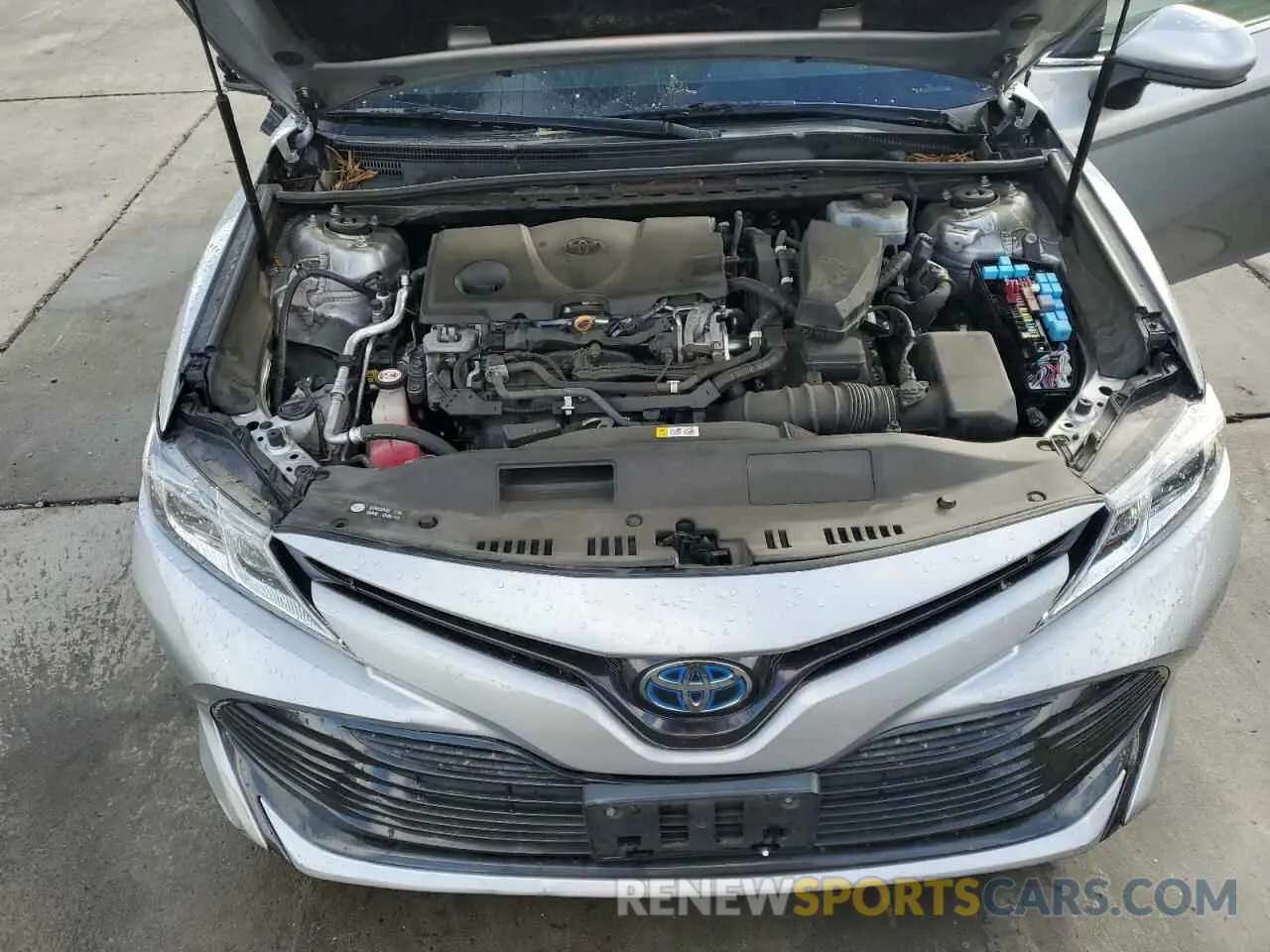 11 Photograph of a damaged car 4T1B31HK2KU005333 TOYOTA CAMRY 2019