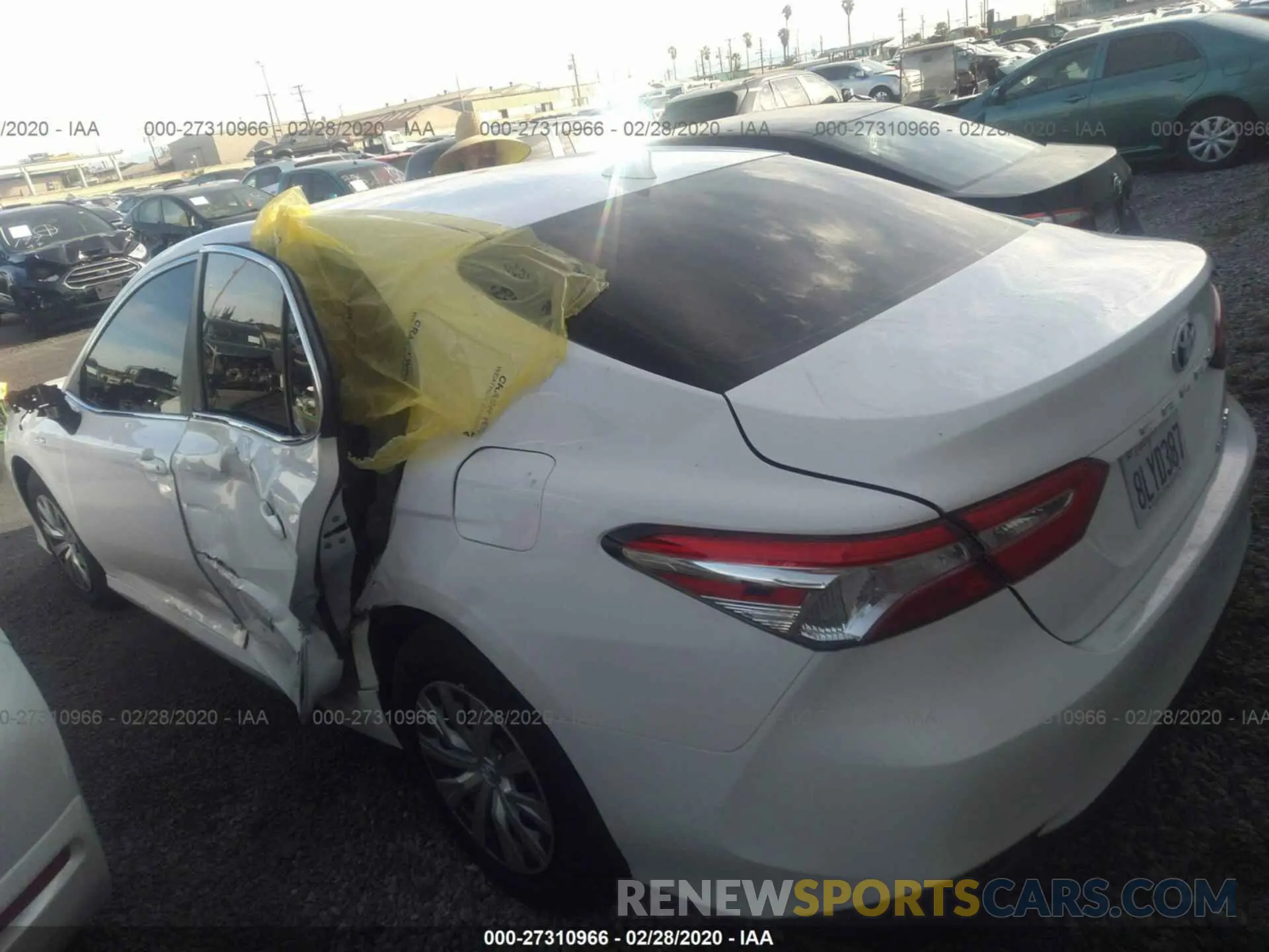 3 Photograph of a damaged car 4T1B31HK2KU008846 TOYOTA CAMRY 2019