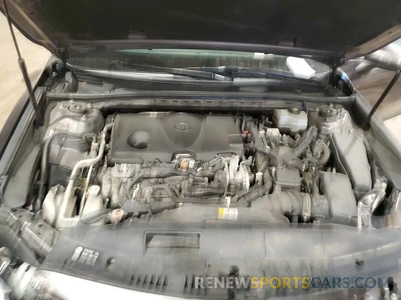 12 Photograph of a damaged car 4T1B31HK3KU005177 TOYOTA CAMRY 2019