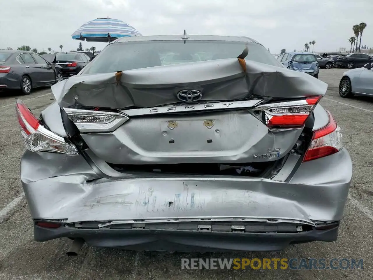 6 Photograph of a damaged car 4T1B31HK3KU510488 TOYOTA CAMRY 2019