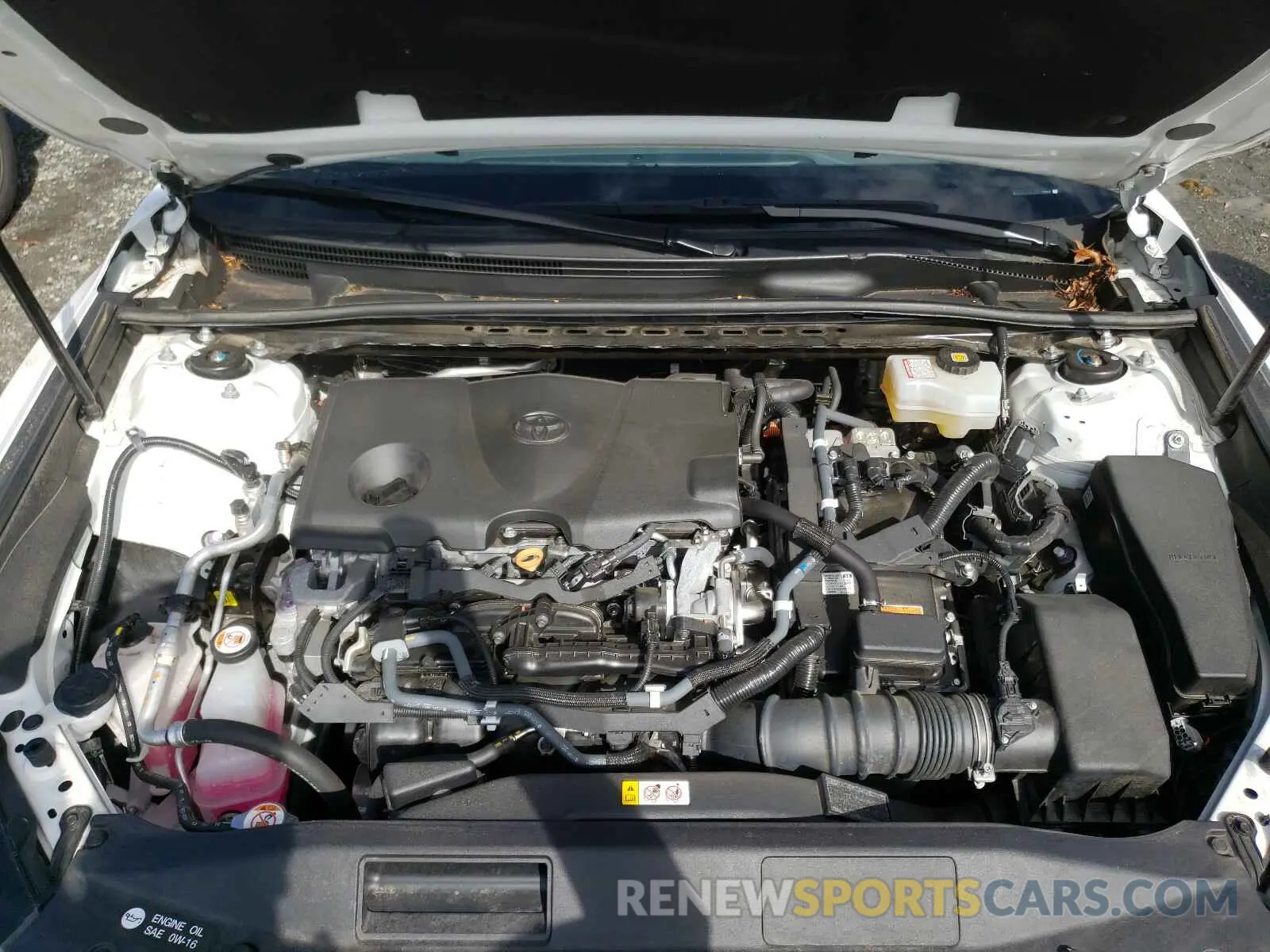 7 Photograph of a damaged car 4T1B31HK3KU510555 TOYOTA CAMRY 2019