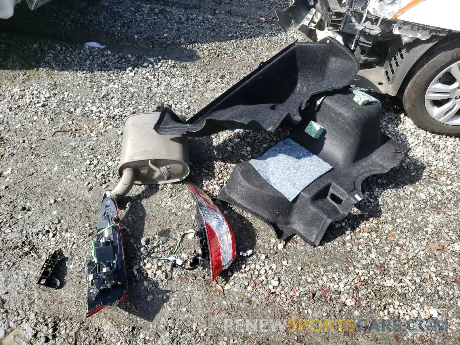 9 Photograph of a damaged car 4T1B31HK3KU510555 TOYOTA CAMRY 2019