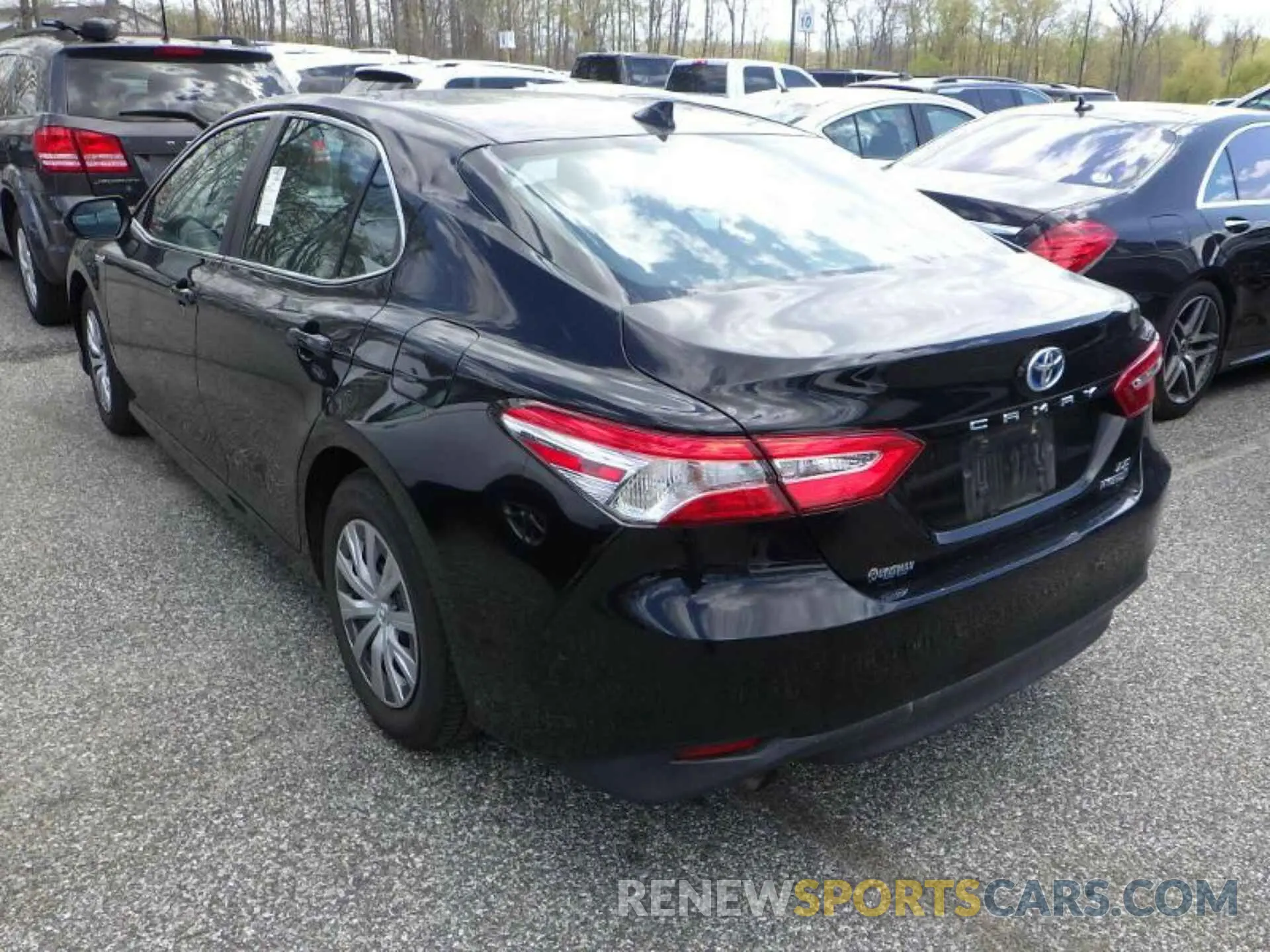 1 Фотография поврежденного автомобиля 4T1B31HK3KU512662 TOYOTA CAMRY 2019