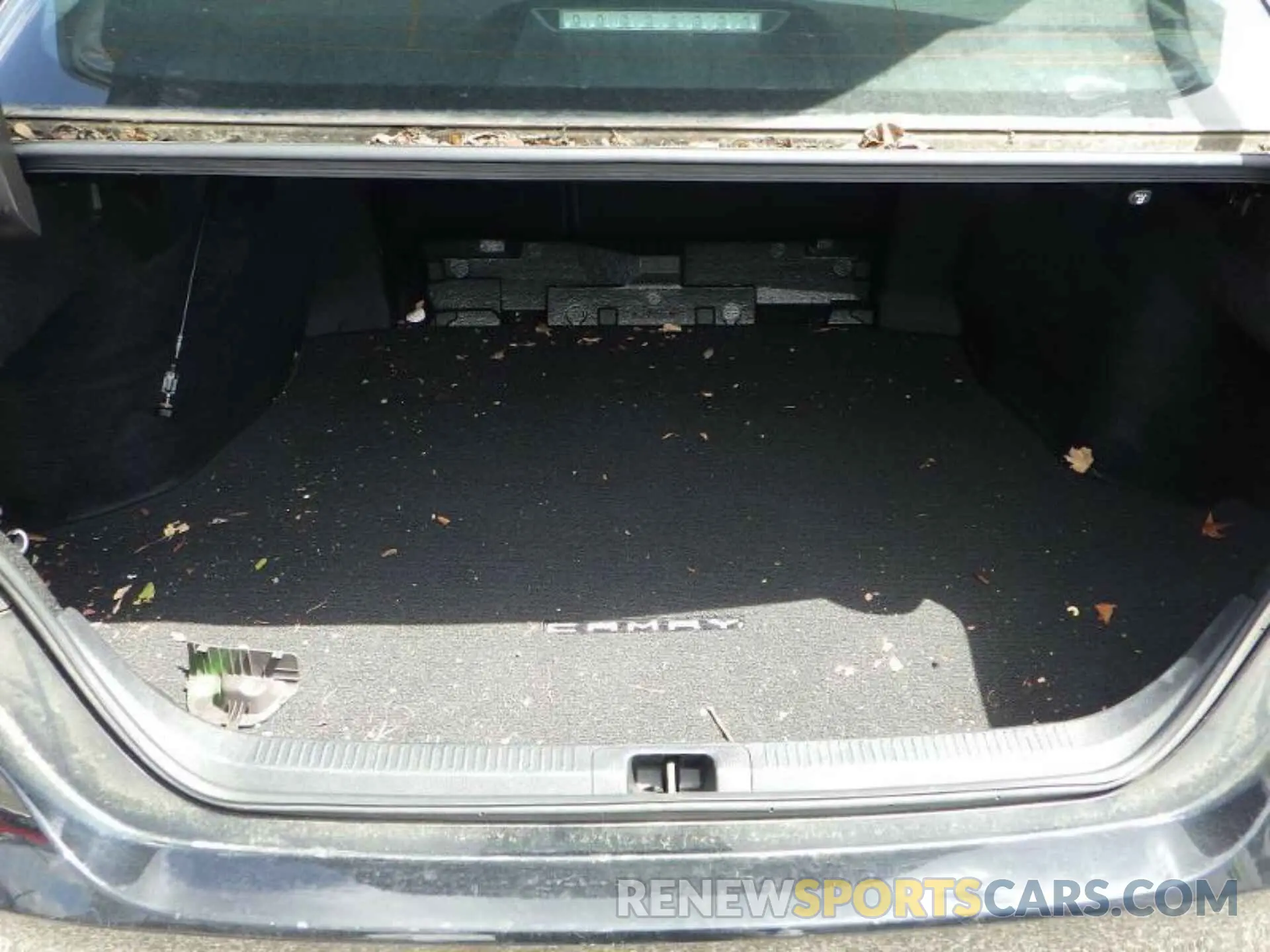19 Фотография поврежденного автомобиля 4T1B31HK3KU512662 TOYOTA CAMRY 2019