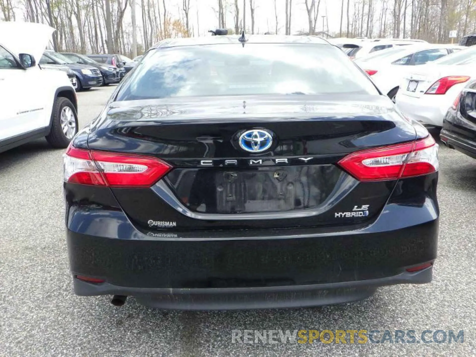 2 Фотография поврежденного автомобиля 4T1B31HK3KU512662 TOYOTA CAMRY 2019
