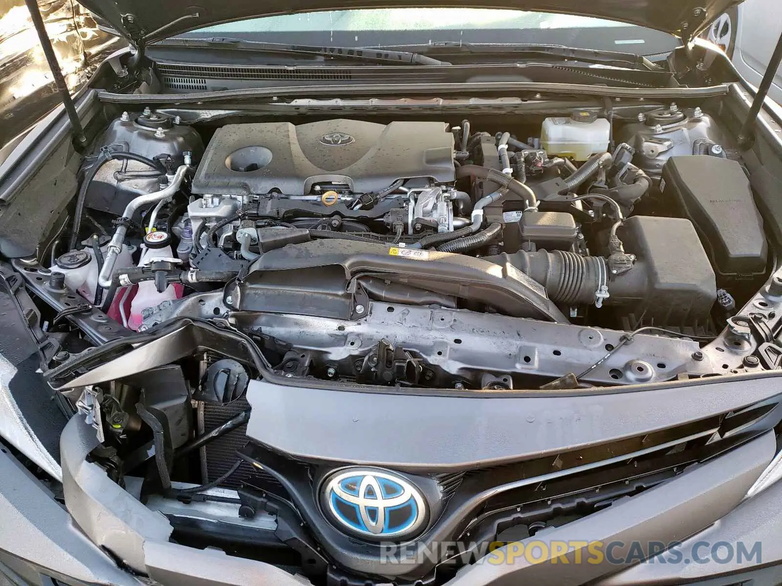 7 Photograph of a damaged car 4T1B31HK3KU513116 TOYOTA CAMRY 2019