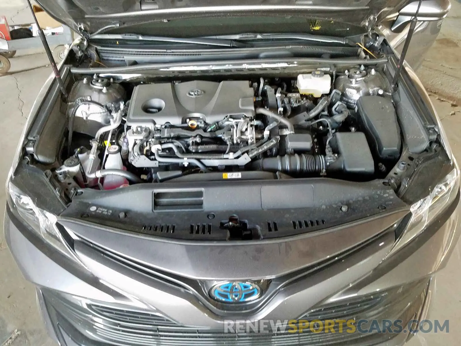 7 Photograph of a damaged car 4T1B31HK4KU008816 TOYOTA CAMRY 2019