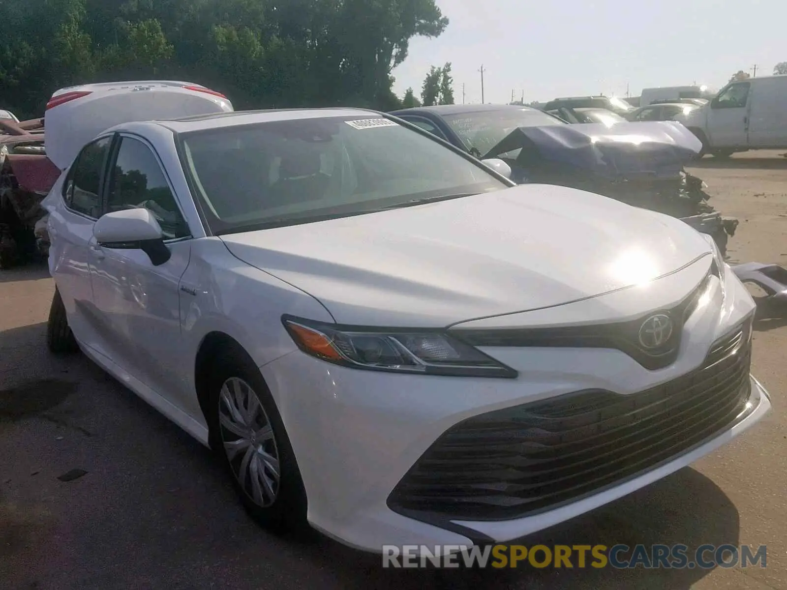 1 Photograph of a damaged car 4T1B31HK5KU512307 TOYOTA CAMRY 2019