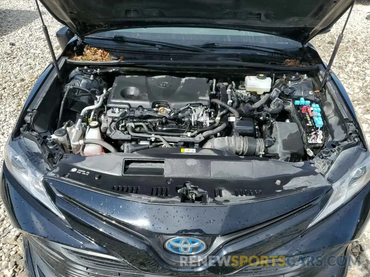 11 Photograph of a damaged car 4T1B31HK7KU517993 TOYOTA CAMRY 2019