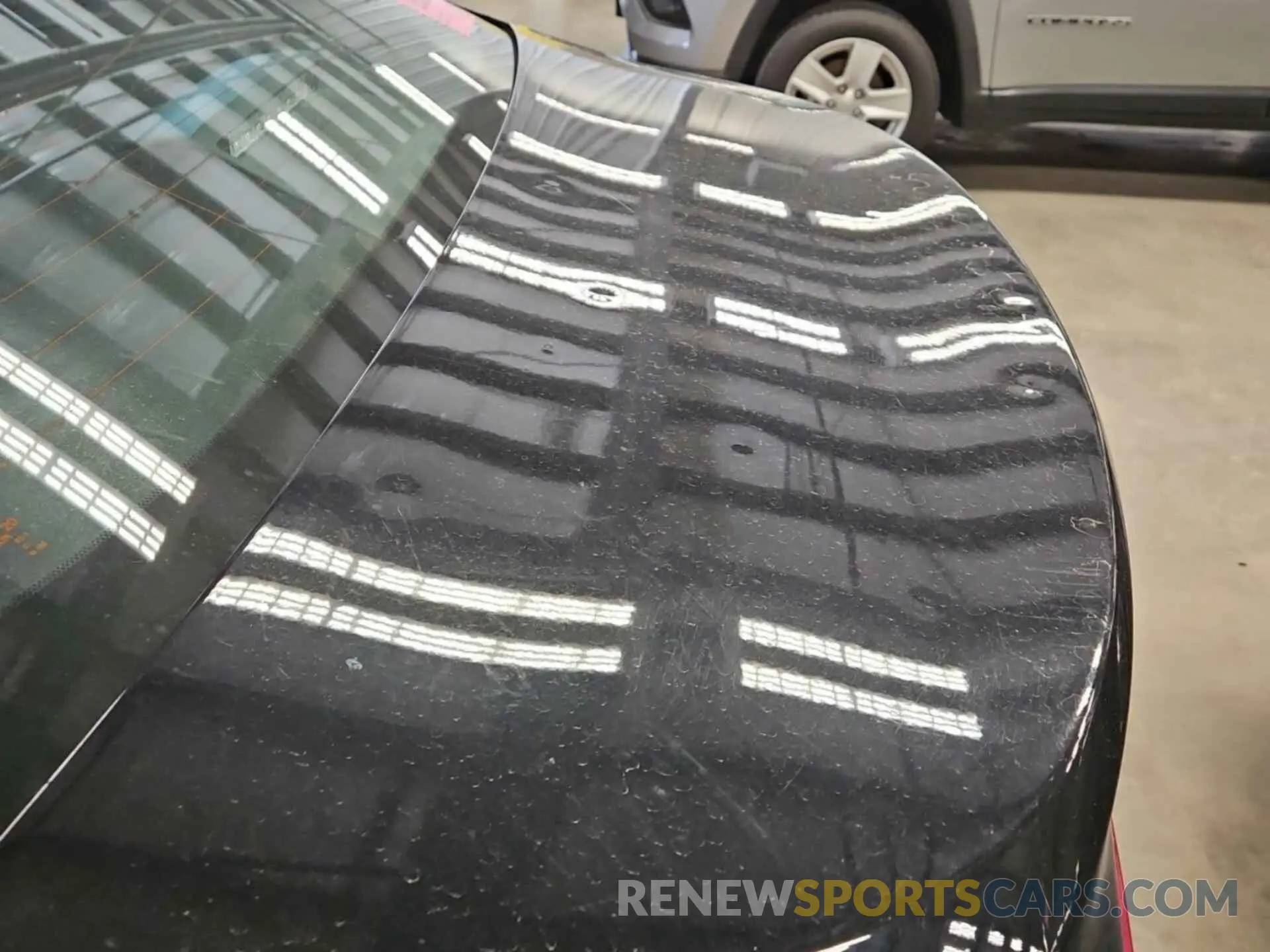 31 Photograph of a damaged car 4T1B31HK8KU512060 TOYOTA CAMRY 2019