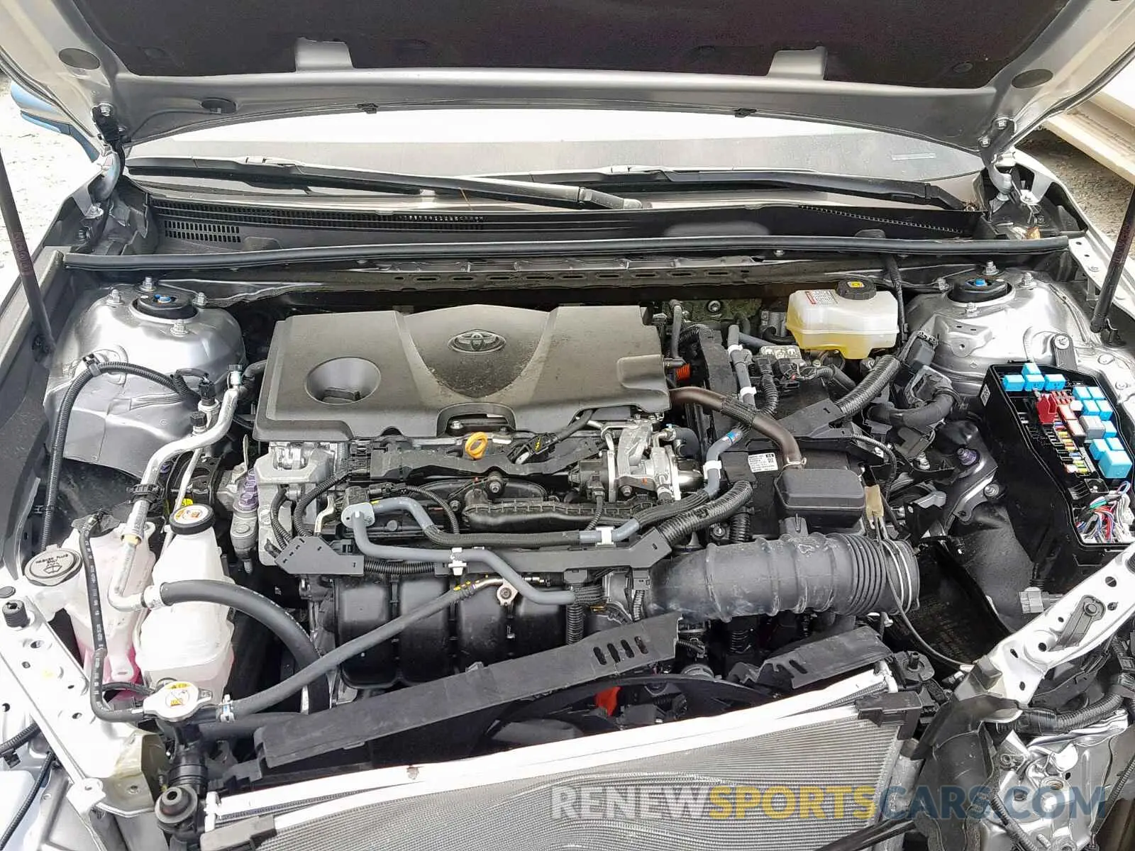 7 Photograph of a damaged car 4T1B31HKXKU509645 TOYOTA CAMRY 2019