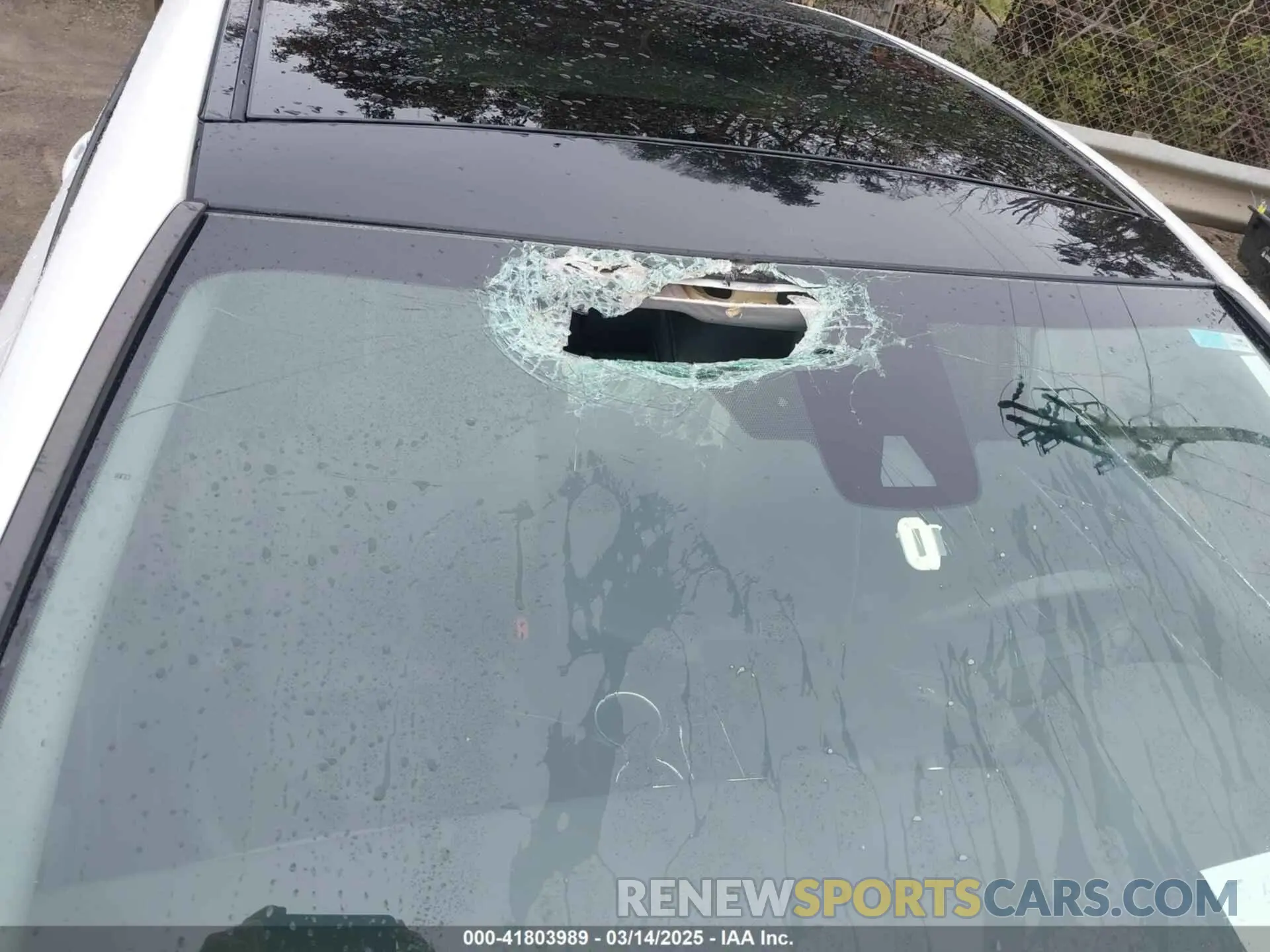 6 Photograph of a damaged car 4T1B61HK1KU818623 TOYOTA CAMRY 2019