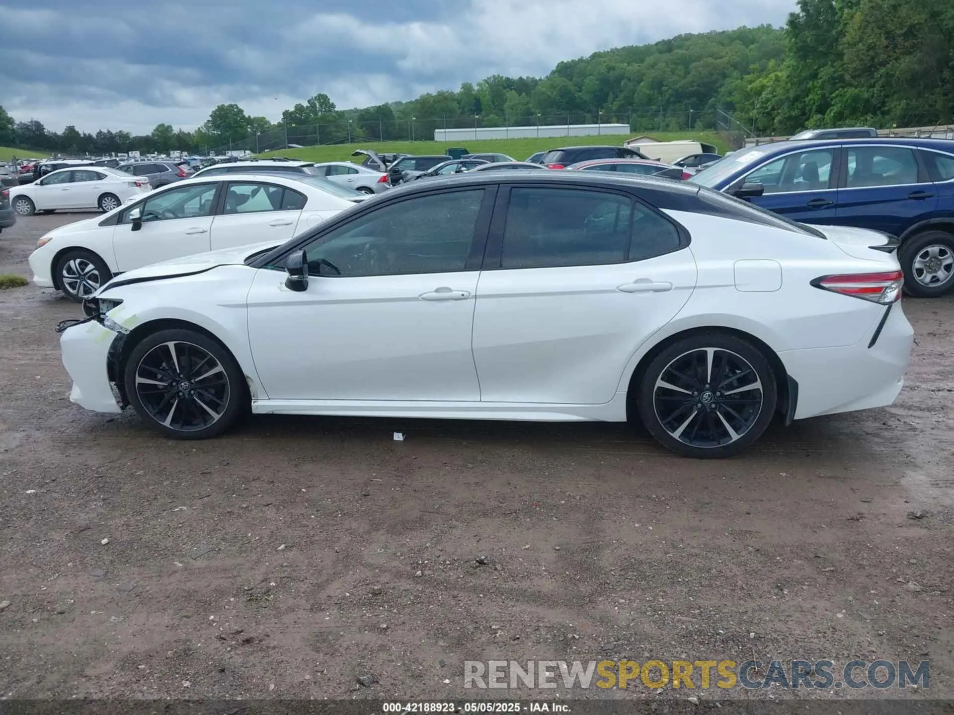 15 Photograph of a damaged car 4T1B61HK3KU299509 TOYOTA CAMRY 2019