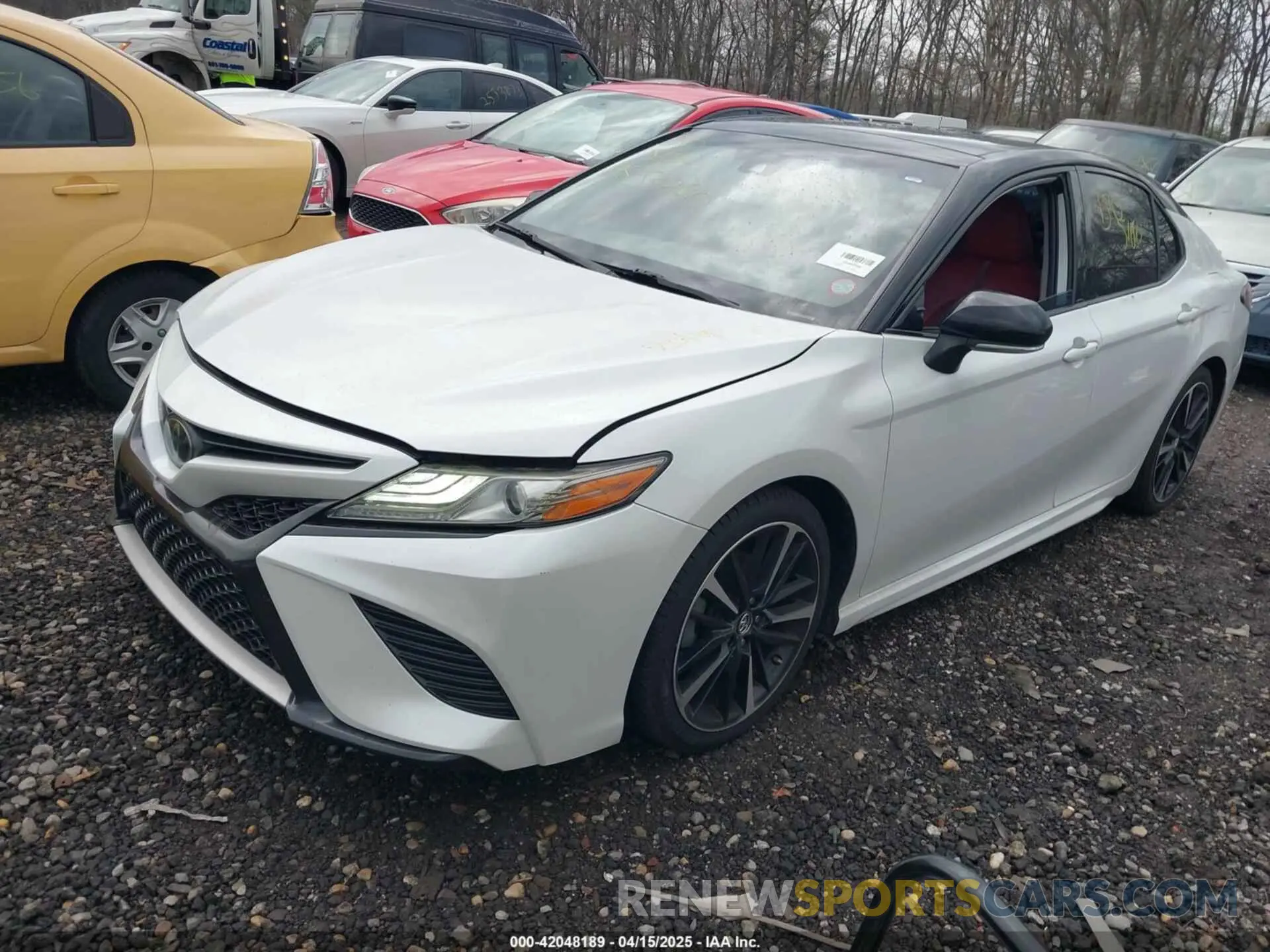 2 Photograph of a damaged car 4T1B61HK7KU277769 TOYOTA CAMRY 2019