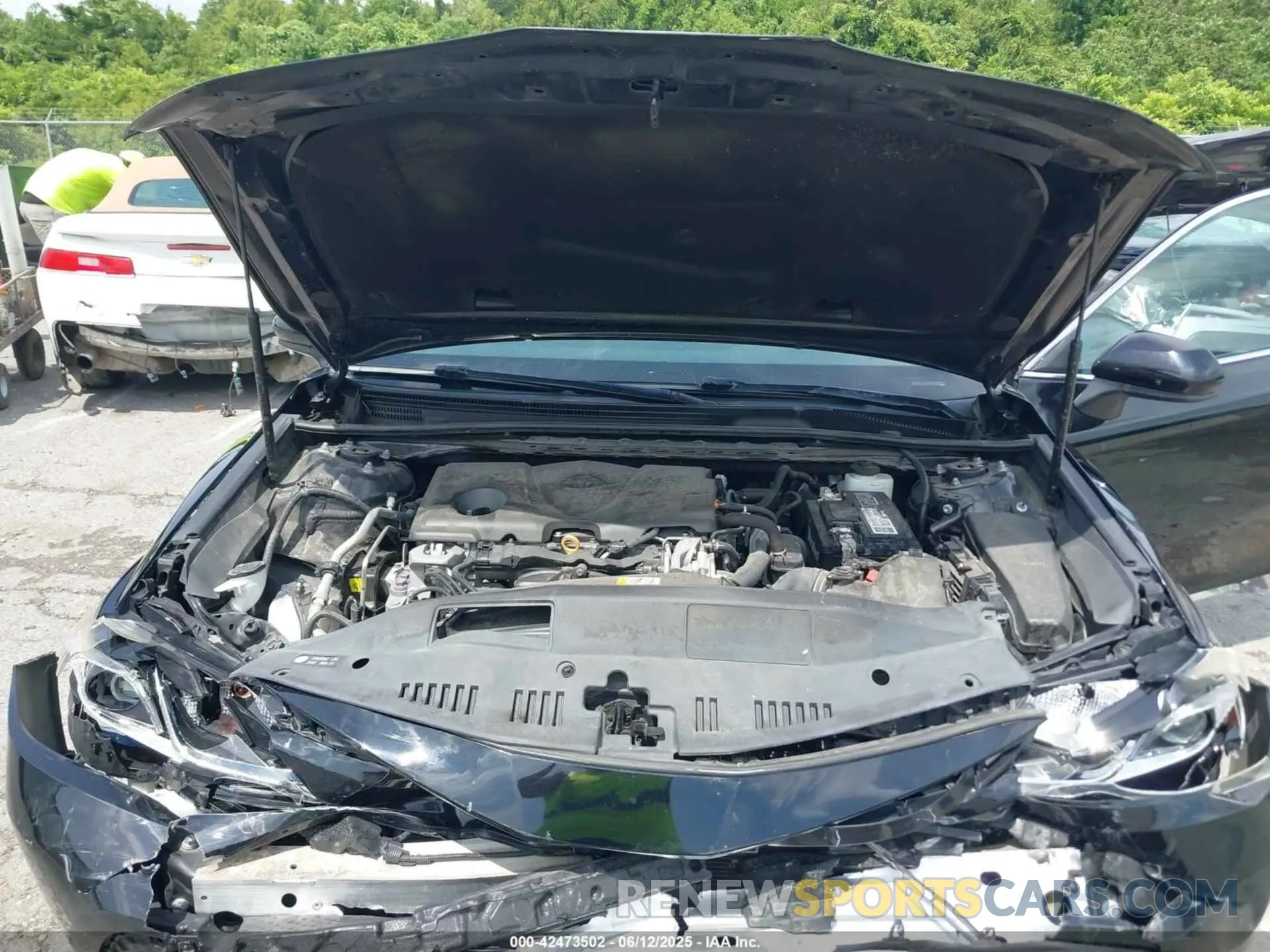 10 Photograph of a damaged car 4T1C11AK2LU317612 TOYOTA CAMRY 2020