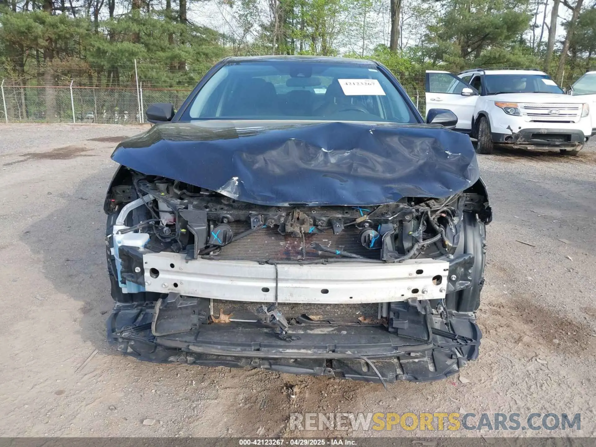 13 Photograph of a damaged car 4T1C11AK2LU393699 TOYOTA CAMRY 2020
