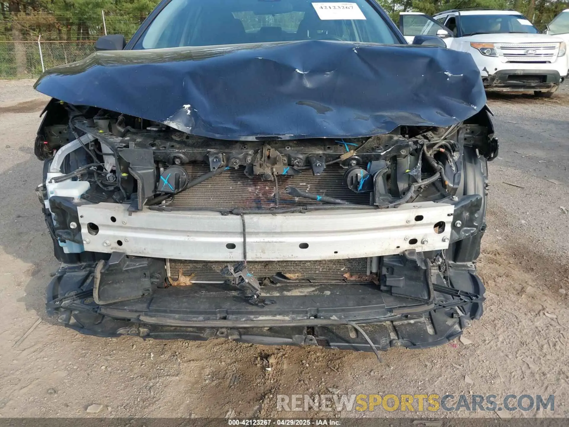 6 Photograph of a damaged car 4T1C11AK2LU393699 TOYOTA CAMRY 2020