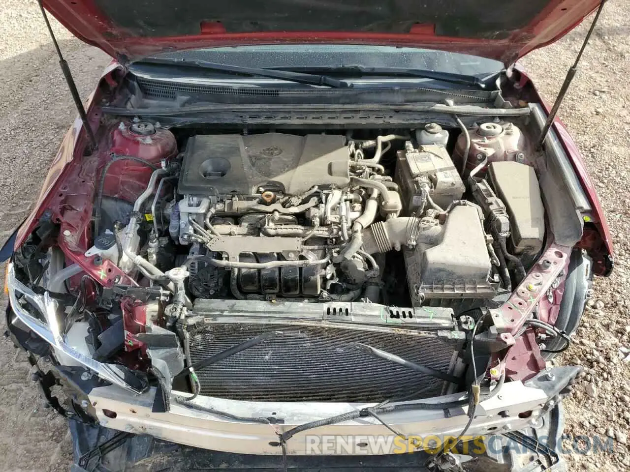 11 Photograph of a damaged car 4T1C11AK2LU916154 TOYOTA CAMRY 2020