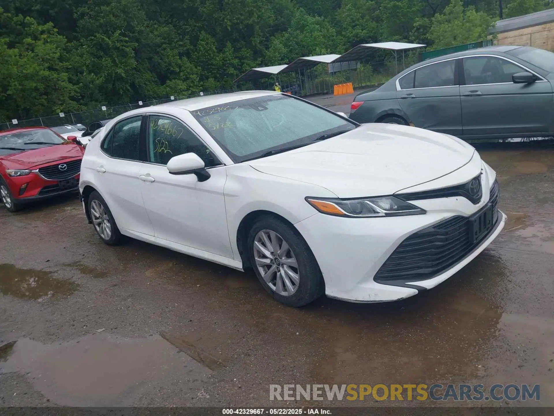 1 Фотография поврежденного автомобиля 4T1C11AK4LU348599 TOYOTA CAMRY 2020