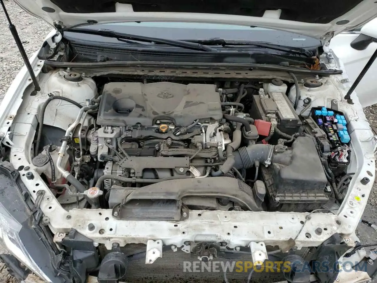 11 Фотография поврежденного автомобиля 4T1C11AK5LU501054 TOYOTA CAMRY 2020