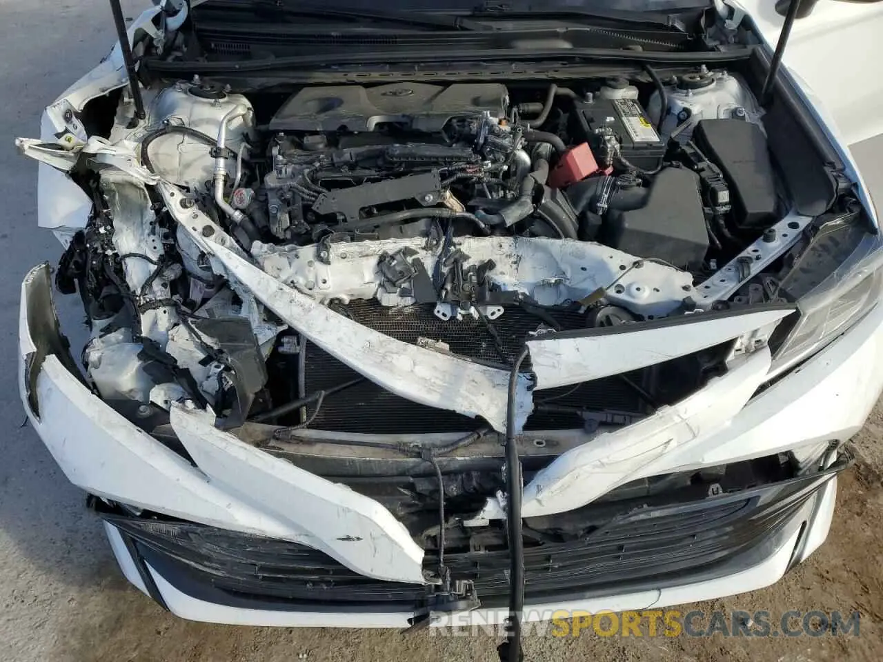 11 Фотография поврежденного автомобиля 4T1C11AK5LU902135 TOYOTA CAMRY 2020