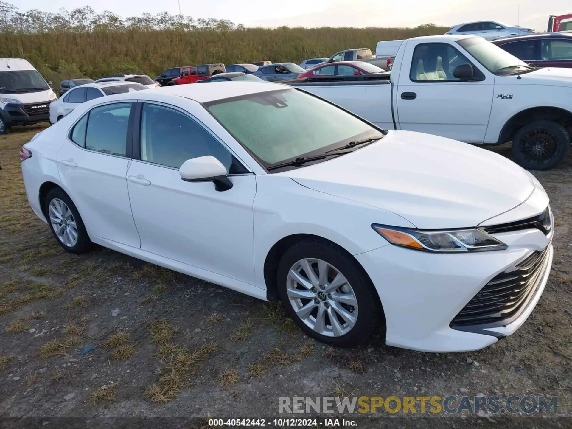 1 Photograph of a damaged car 4T1C11AK5LU965347 TOYOTA CAMRY 2020