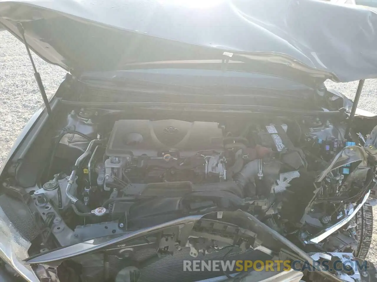 13 Photograph of a damaged car 4T1C11AK9LU900128 TOYOTA CAMRY 2020