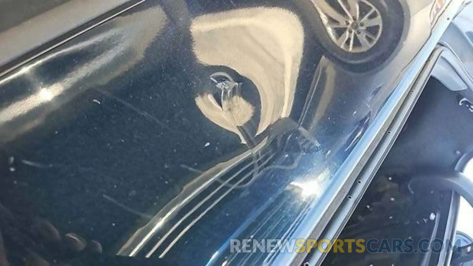 6 Photograph of a damaged car 4T1F11AK2LU942069 TOYOTA CAMRY 2020