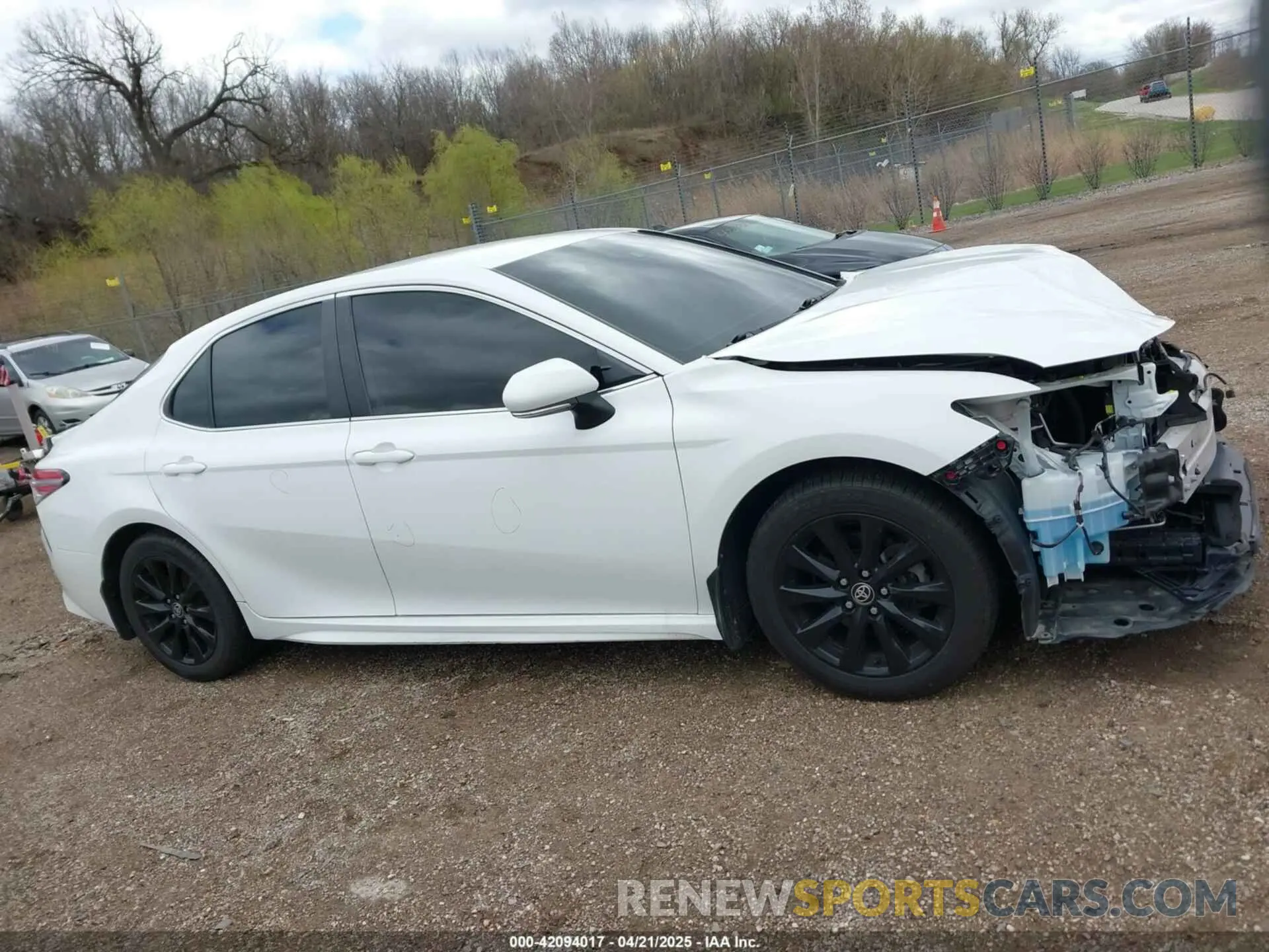 14 Photograph of a damaged car 4T1G11AK0LU381651 TOYOTA CAMRY 2020