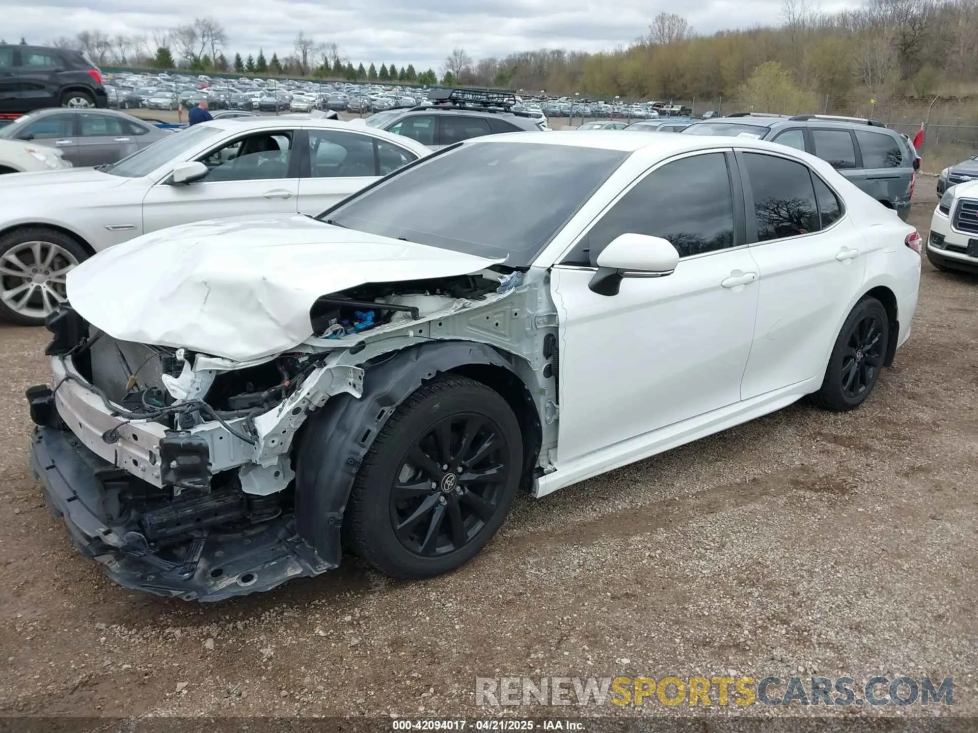 2 Photograph of a damaged car 4T1G11AK0LU381651 TOYOTA CAMRY 2020