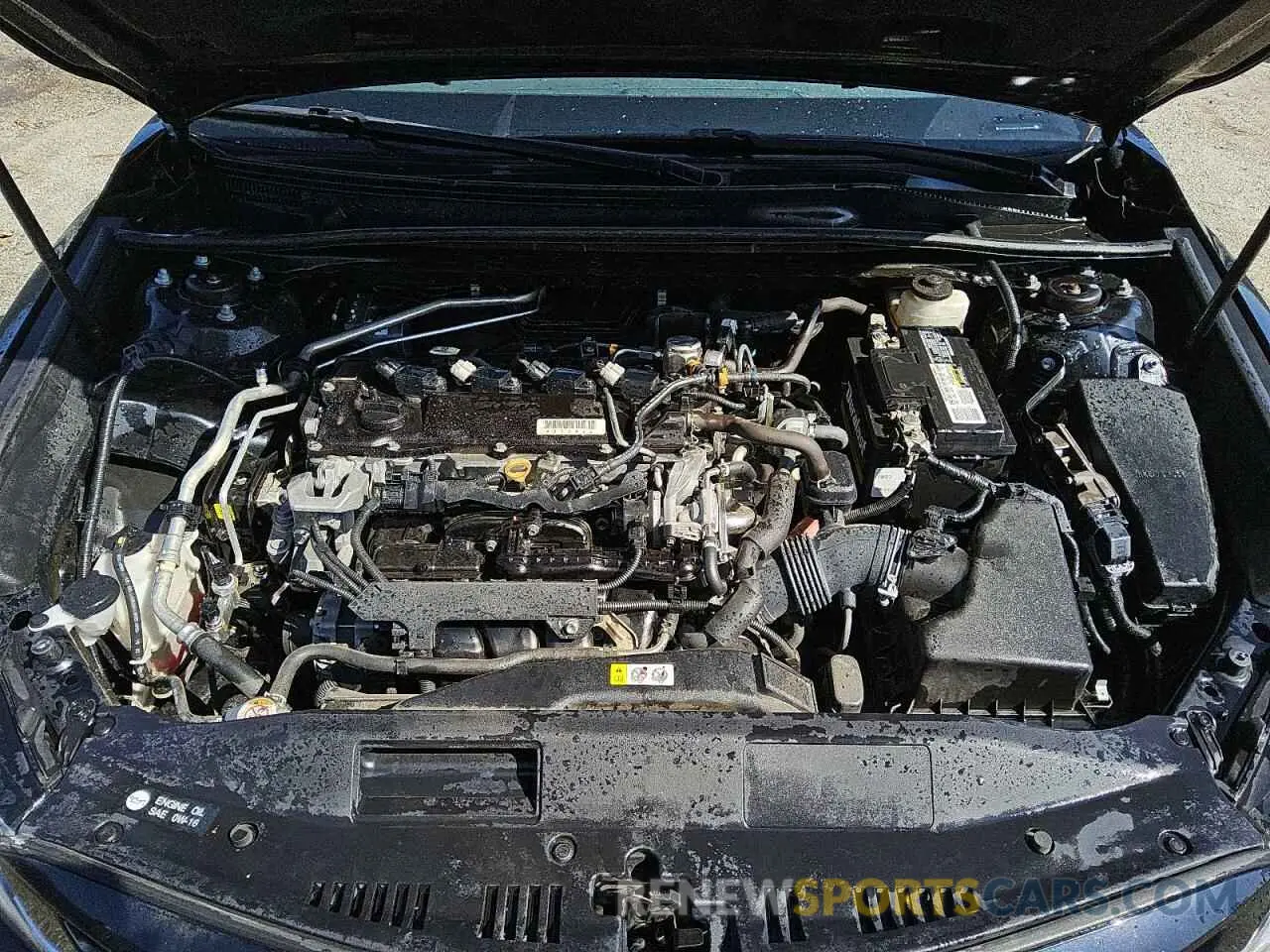 11 Photograph of a damaged car 4T1G11AK1LU868907 TOYOTA CAMRY 2020