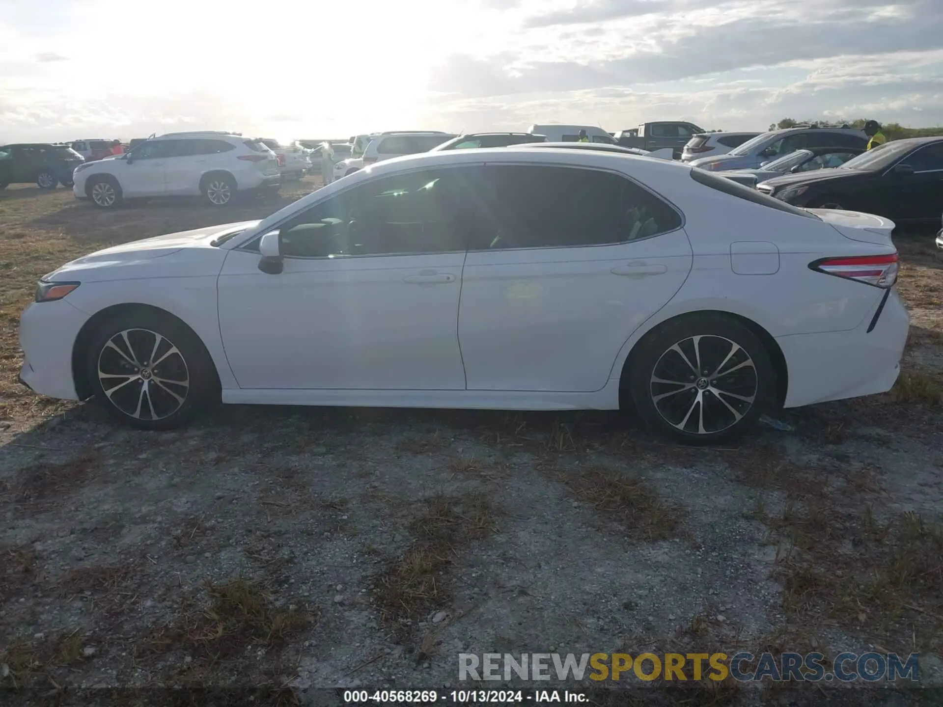 14 Photograph of a damaged car 4T1G11AK2LU377519 TOYOTA CAMRY 2020