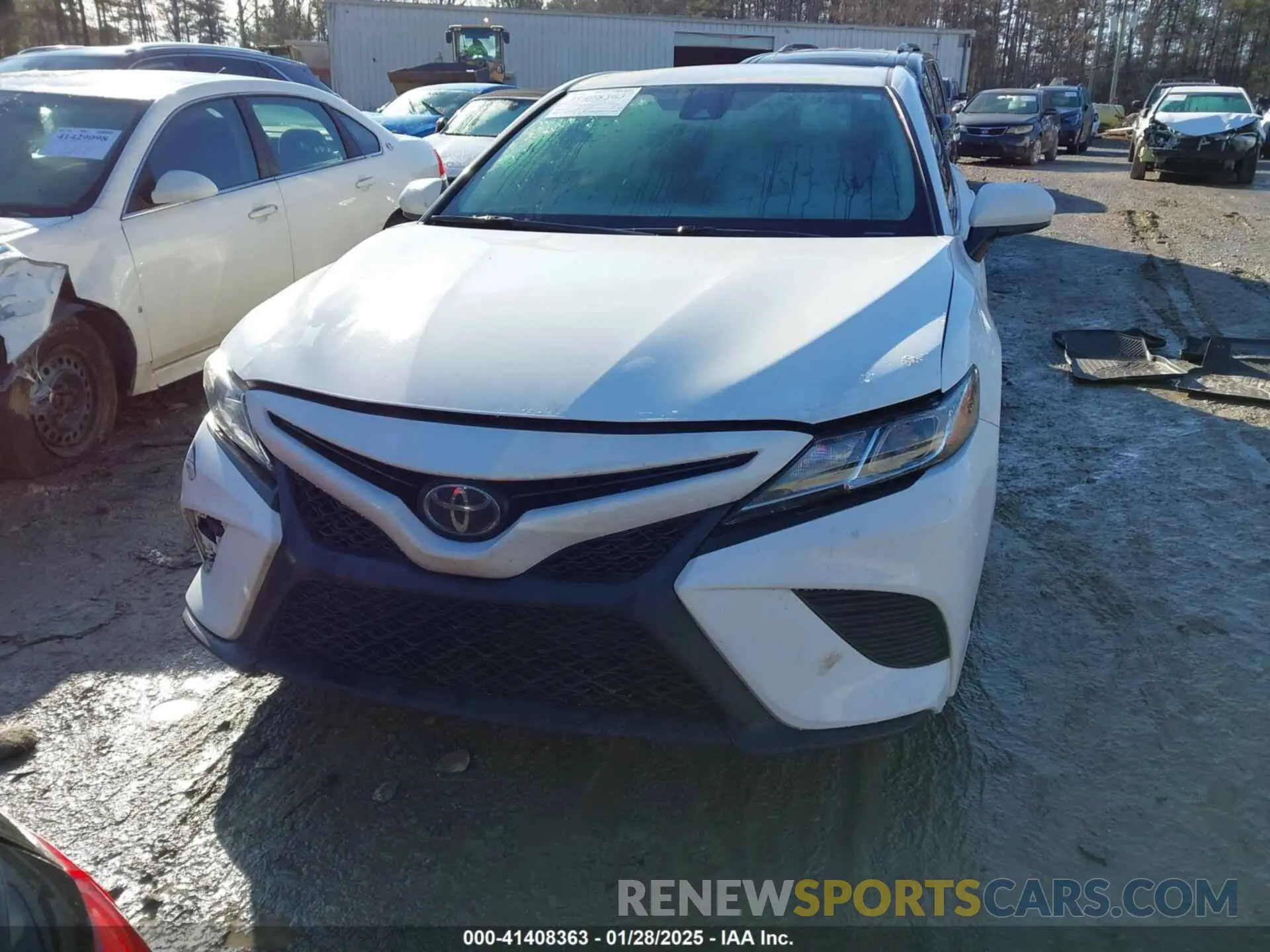 12 Photograph of a damaged car 4T1G11AK6LU504482 TOYOTA CAMRY 2020